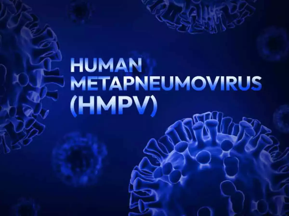 hmpv-virus